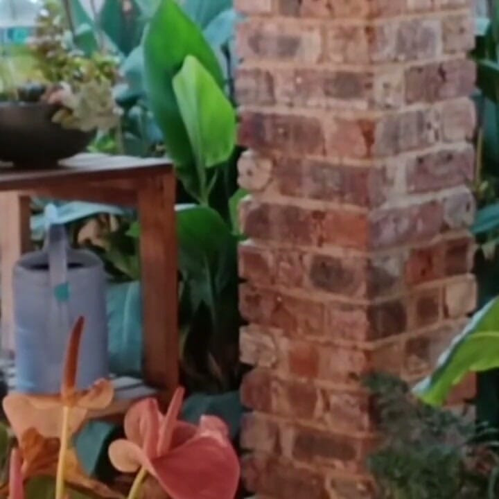 Bigjoefuckalot ki jangli aaya ko chherna