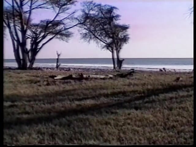 Rubias lesbianas amantes se lamen en la playa de arena - video vintage - sin audio, pero música
