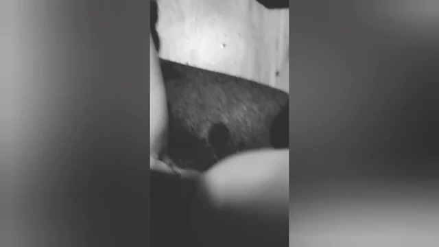 She suck Dick good