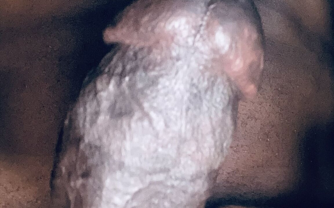 Kontol besar hitamku meneteskan air mani dalam gerakan slo