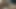 Shemale Slut Video porn