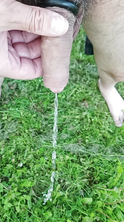 Me pissing outdoors with my hairy cock
