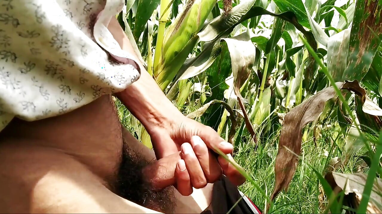 Indian Gay Big Cock Handjob in Corn Field