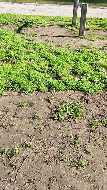 Iconic moment from "FLASHING my COCK in front a everyone in a PUBLIC PARK and my STEPDAUGHER HELPS me CUMSHOT - REAL SEX RISKY"