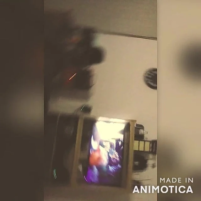 suck mi dick