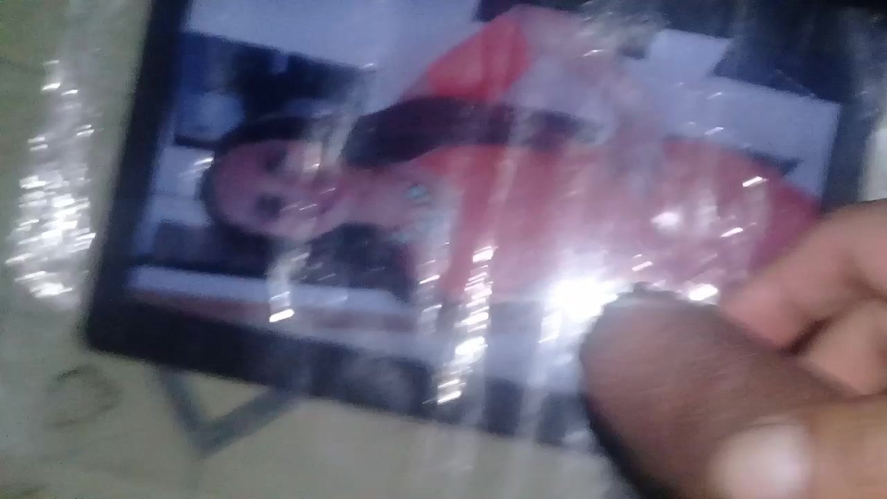 Cum tribute a Pau 5