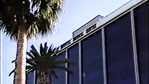 Foxy ladys Lovers - geiles Hospital (1986)