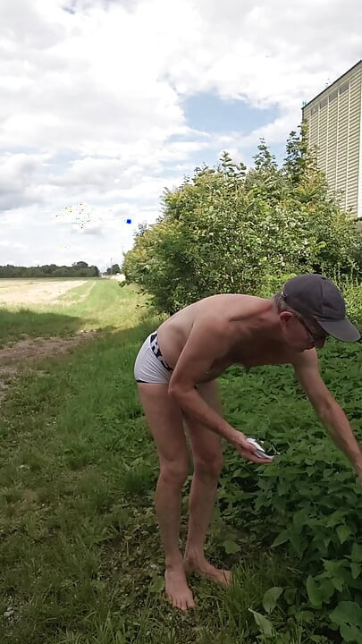 Nettles by the roadside