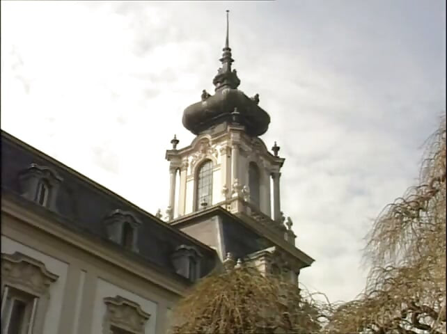 Płonące osły (1997)