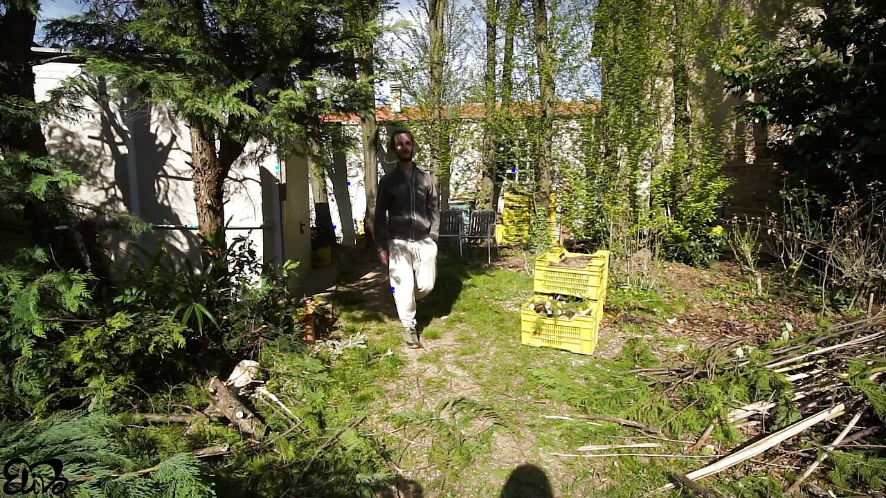 Looking for HARD TRUNKS to saw!(amateur sex in the woods)