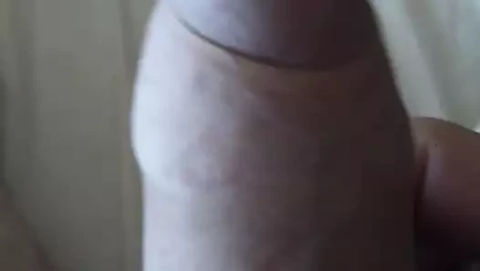mi polla
