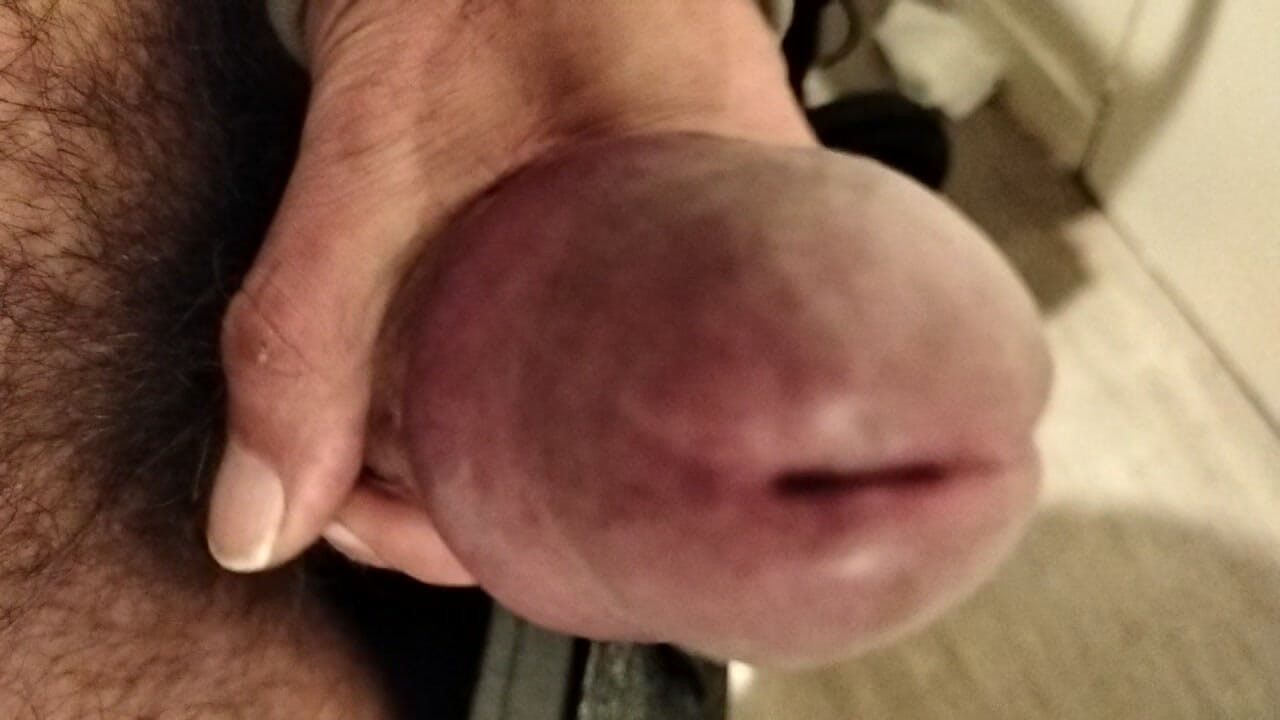 누구든 원하는 사람에게 수정할 수 있도록 내 자지를 다듬는 중