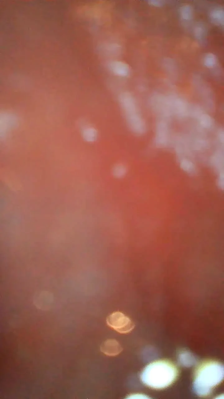 Video 576344844659327203-JCfGNHsK.mp4