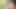 YOUNG BOY CAUGHT STEP MOTHER MASTURBATE AND HELP WITH FUCK