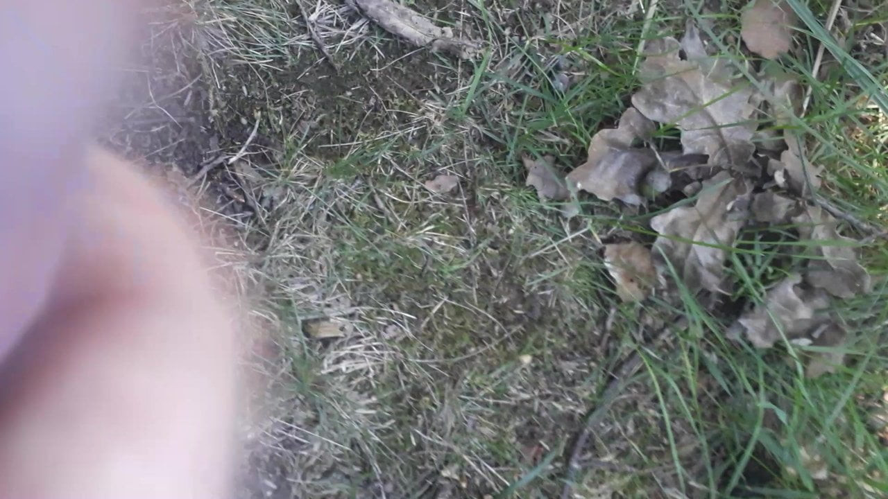 Sperma