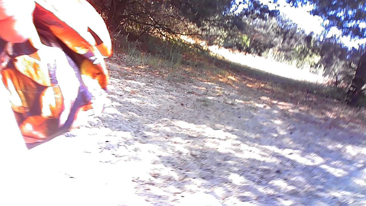 Tesão a caminho do lago