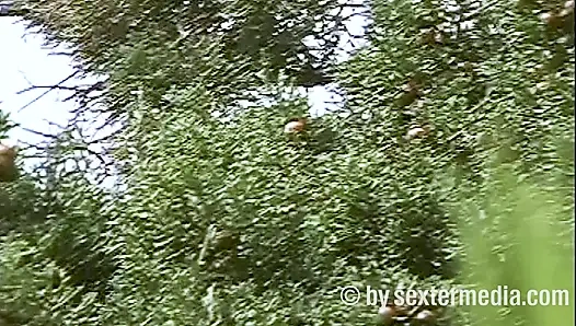 MILF Telanjang Seksi Di Pantai Nudist