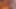 Orange Garden - 3D Futanari Animation