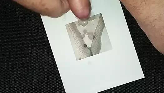 profilpic Cum