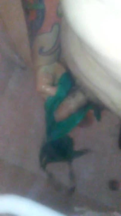 fucking exgfs (HeelGoddess) bra in shower