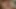cuckoling milf sialan amatir orang