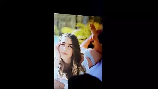 Gabistacenco döl haraç