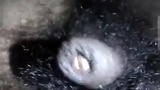 Sikim amına ve göt deliğine aç