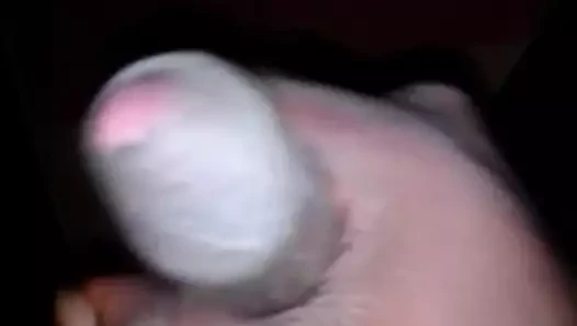 biraz kedi ara