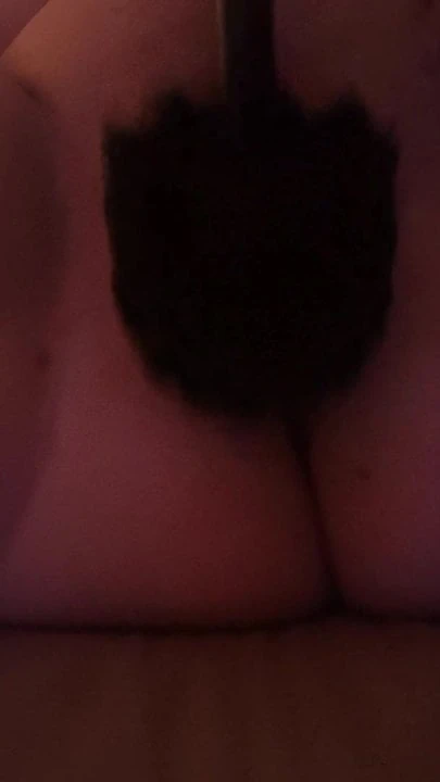 Luststute0669