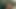 I Surprise My Stepson in the Shower and He Fucks Me Delicious
