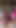 魅惑的な瞬間 "楽しい子猫の遊び時間"