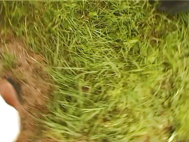 Nine tıknaz bir yarağı emiyor ve sonra çalıların içinde sikiliyor