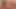 Flower Tucci gives head and gets a facial