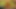 Hotkinkyjo green handschuhe selbst anal fisting und prolaps