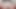 Slutclosetedfag –ケージでディルドクソに乗って