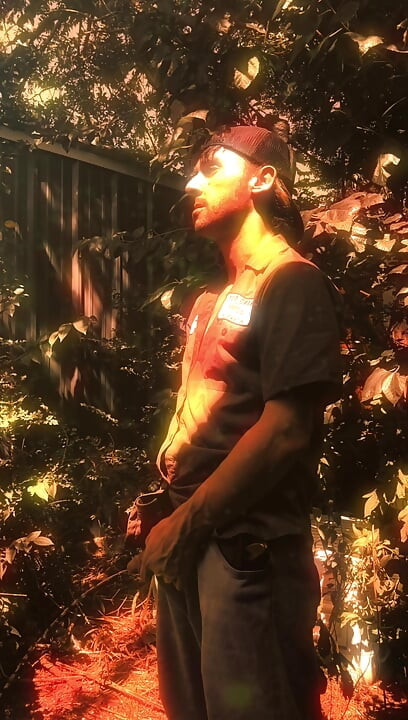 Summer Heat