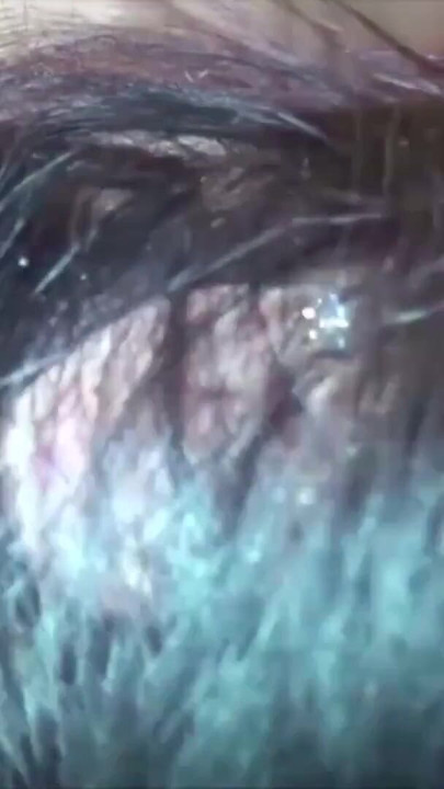 Stunning moment from "ASIA THAI SHEMALE HOOKER GET FUCKED BAREBACK BY GERMAN GUY"