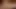 Drea size ne kadar seksi ve ıslak olduğunu anlatıyor