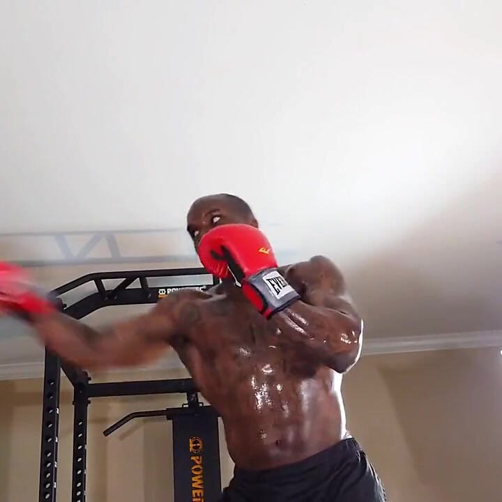 Boxing Workout When Designing a Core Training Program, the Local and Global Muscles Should Both Be Trained to Develop Proper Cor
