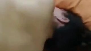 Turkish Homemade Porn Video 27.05.2021-8