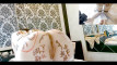 Pregled videozapisa