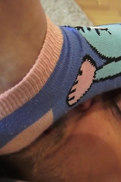 L-logikasock Sniffing Terror.