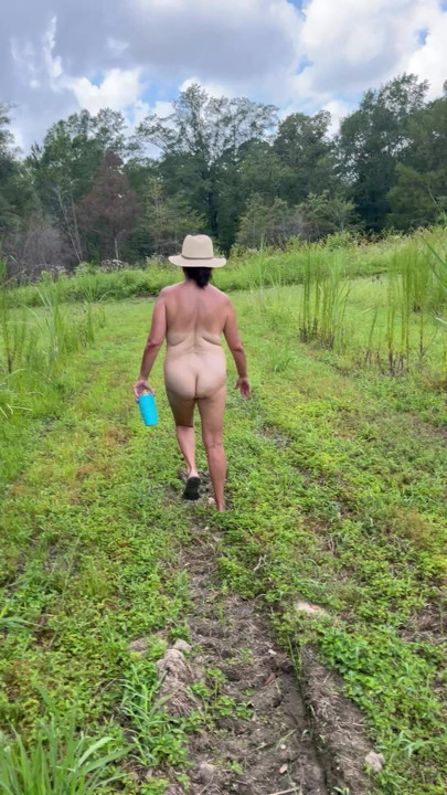 A walk in the woods