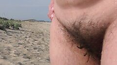 Peluda madura chupando culo en la playa