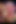 POV Blowjob with Really Dirty Talk