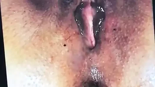 wetwet80 için haraç