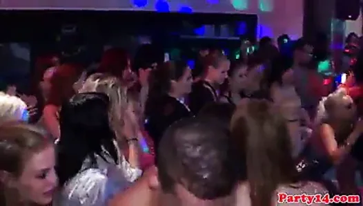 Real euro bachelorette nailed by stripper