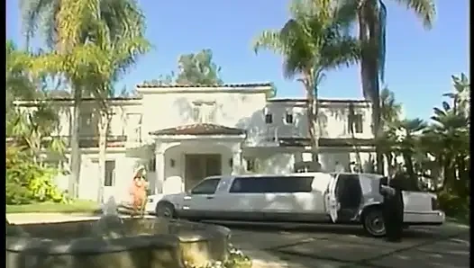 Сексуальную шлюшку с красивыми сиськами трахают в задней части лимузина