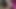 Best Blowjob and Rimjob with My Step Sister. Cum in Mouth