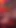 Prezervatifsiz fetiş ayıları 4k